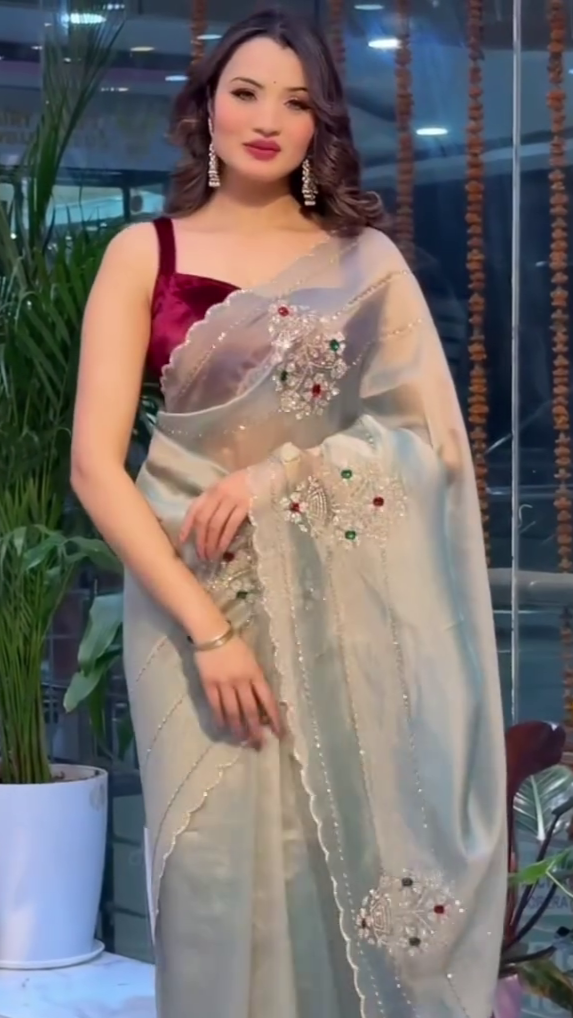 Hand-Embellished Organza Saree